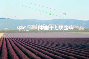大庆中国十七块金牌