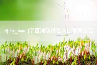 大庆宁夏消防报名入口官网公告