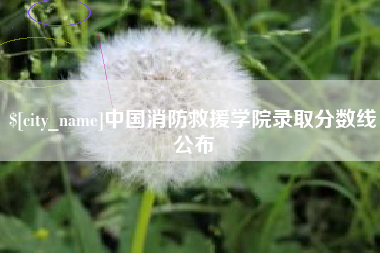 大庆中国消防救援学院录取分数线公布