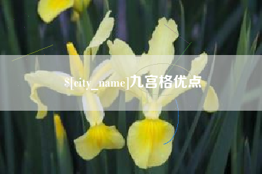 大庆九宫格优点