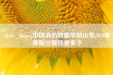 大庆中国消防救援学院山东2020年录取分数线是多少