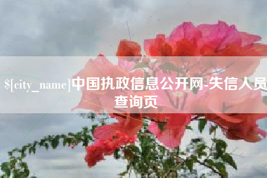大庆中国执政信息公开网-失信人员查询页