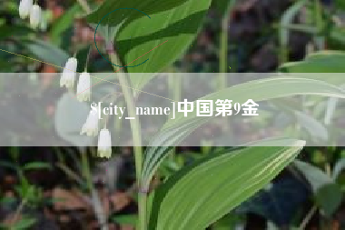 大庆中国第9金