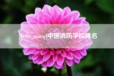 大庆中国消防学校排名
