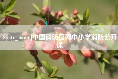 大庆中国消防官网中小学消防公开课
