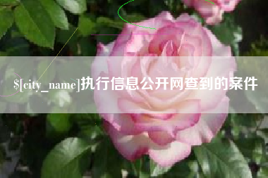 大庆执行信息公开网查到的案件