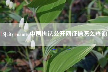 大庆中国执法公开网征信怎么查询