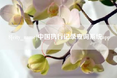 大庆中国执行记录查询系统app