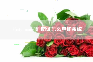 大庆消防证怎么查询系统