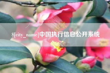 大庆中国执行信息公开系统