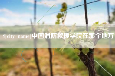 大庆中国消防救援学院在那个地方