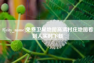 大庆免费卫星地图高清村庄地图看到人实时下载