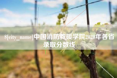 大庆中国消防救援学院2020年各省录取分数线