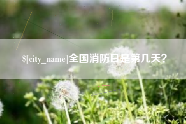 大庆全国消防日是第几天？