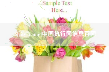 大庆中国执行网信息官网