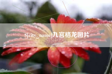 大庆九宫格龙图片