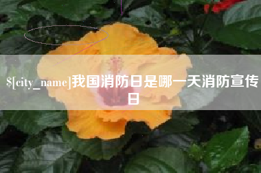 大庆我国消防日是哪一天消防宣传日