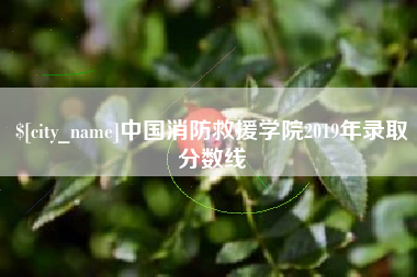 大庆中国消防救援学院2019年录取分数线