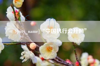 大庆“中国执行公开网”