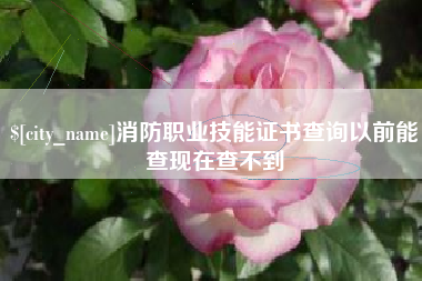 大庆消防职业技能证书查询以前能查现在查不到
