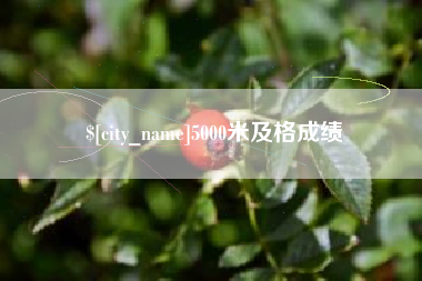 大庆5000米及格成绩