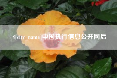 大庆中国执行信息公开网后