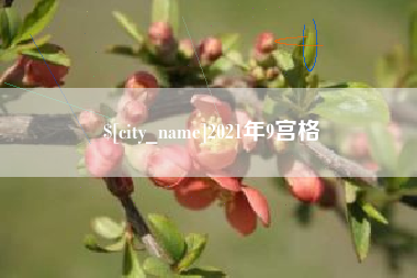 大庆2021年9宫格