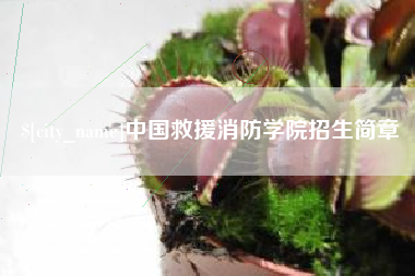 大庆中国救援消防学院招生简章