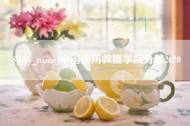 大庆中国消防救援学院分数2020