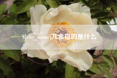 大庆九金指的是什么