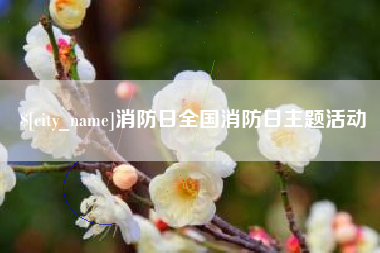 大庆消防日全国消防日主题活动