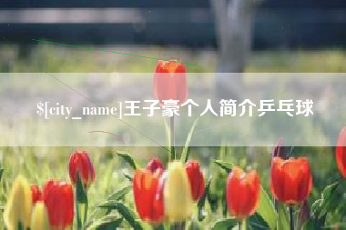 大庆王子豪个人简介乒乓球