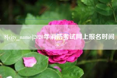 大庆2020年消防考试网上报名时间