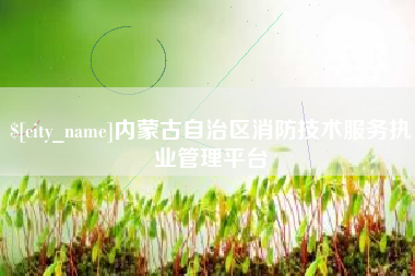 大庆内蒙古自治区消防技术服务执业管理平台