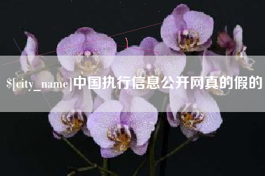 大庆中国执行信息公开网真的假的