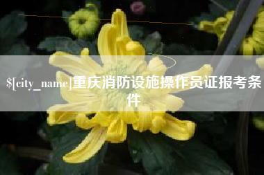 大庆重庆消防设施操作员证报考条件