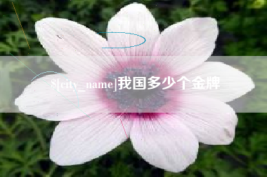 大庆我国多少个金牌