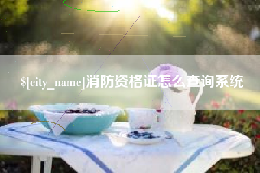 大庆消防资格证怎么查询系统