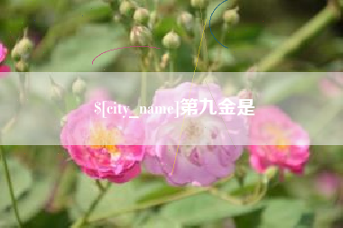 大庆第九金是