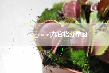 大庆九宫格分布图