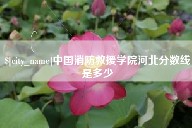 大庆中国消防救援学院河北分数线是多少