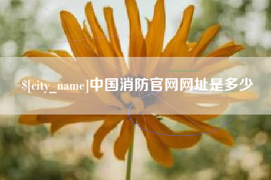 大庆中国消防官网网址是多少