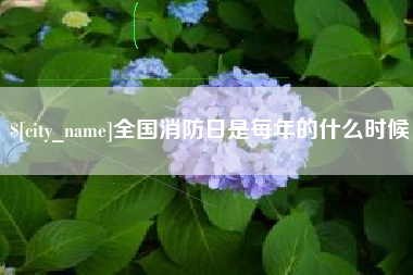 大庆全国消防日是每年的什么时候