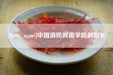 大庆中国消防救援学院副院长