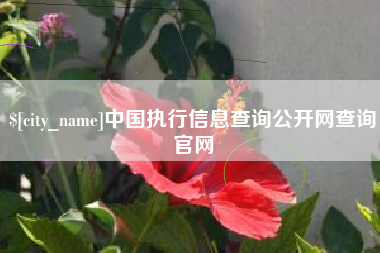 大庆中国执行信息查询公开网查询官网