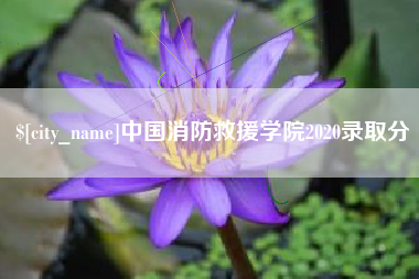 大庆中国消防救援学院2020录取分