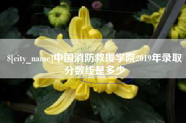 大庆中国消防救援学院2019年录取分数线是多少