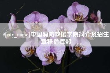 大庆中国消防救援学院简介及招生章程指挥部