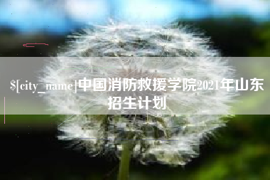 大庆中国消防救援学院2021年山东招生计划