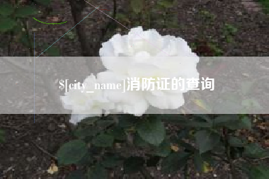大庆消防证的查询